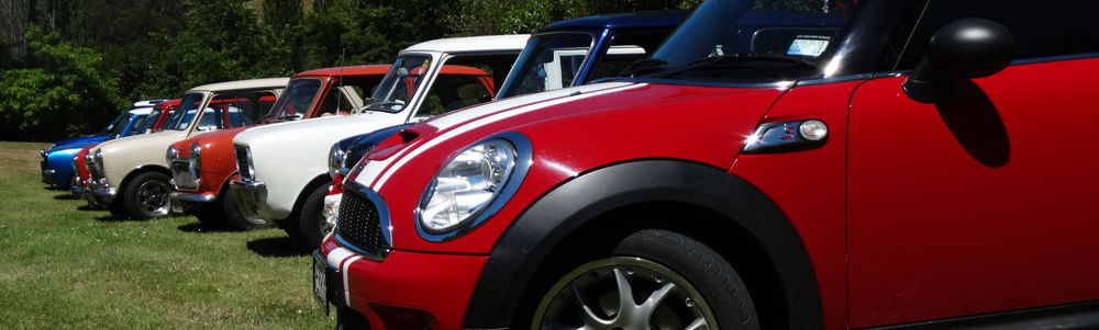 Minis In Nelson INC