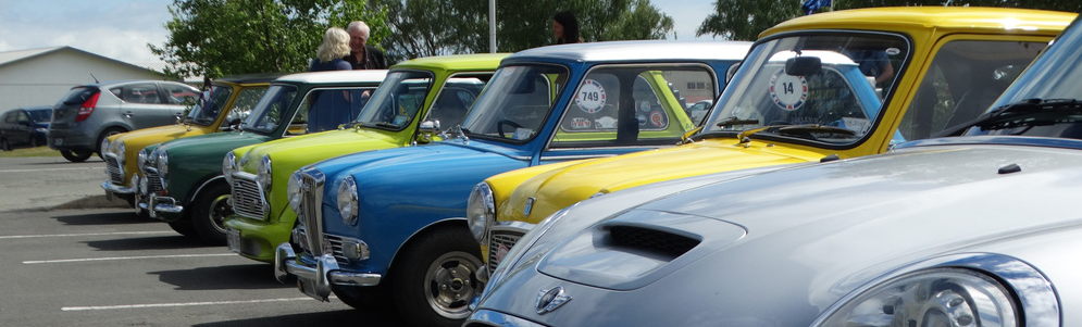 Minis In Nelson INC